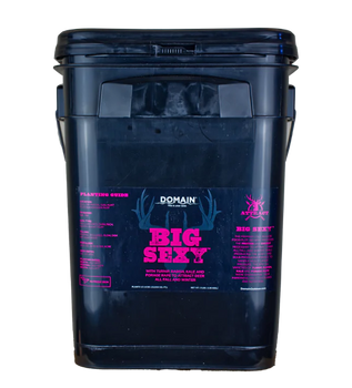 DOMAIN BSFP34      BIG SEXY