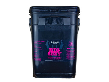 DOMAIN BSFP34 BIG SEXY