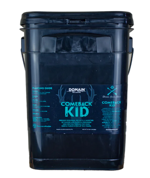 DOMAIN CBKFP375    COMEBACK KID
