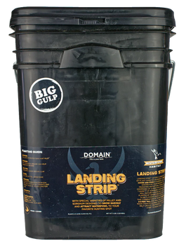 DOMAIN LSFP5       LANDING STRIP