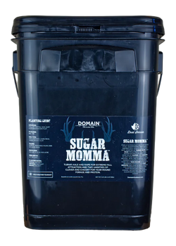 DOMAIN SMFP325     SUGAR MOMMA