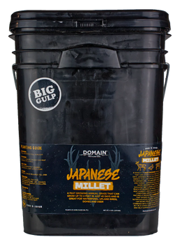 DOMAIN DJMS4LB     JAPANESE MILLET