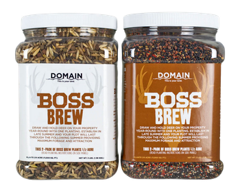 DOMAIN BBFP6       BOSS BREW