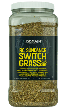 DOMAIN RC-SDSG-5   RC SUNDANCE SWITCHGRASS