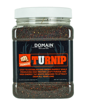 DOMAIN DTS1LB      POUNDER - TURNIP