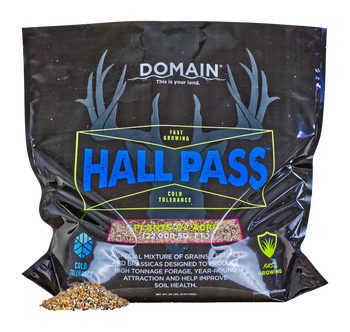 DOMAIN HPFP20      HALL PASS