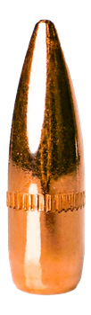 BERRYS 18435     223      .223   55GR FMJ     5000