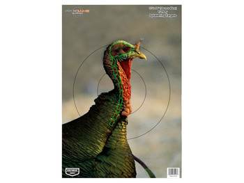 Birchwood Casey 35403 Pregame Turkey Paper Hanging Universal 12" x 18" Multi-Color 8 Per Pkg