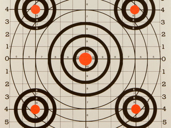 Champion Targets 45726 Score Keeper Bullseye Paper Hanging 100 yds Pistol/Rifle 14" x 18" Multi-Color 12 PK