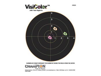 Champion Targets 45824 VisiColor Bullseye Paper Hanging Pistol/Rifle 8.50" x 11" Multi-Color Includes Pasters 10 Pack