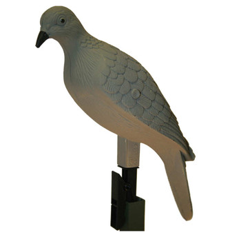 Mojo Outdoors HW9004 Clip On  Dove Species Natural Plastic 4 Per Pack UPC: 816740002217
