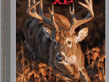 Winchester Ammo X7DS Deer Season XP 7mmRemMag 140gr Extreme Point 20 Per Box/10 Case