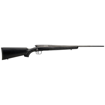 Savage Arms 96901 B.MAG  17 WSM 81 22 Matte Black Barrel  Receiver Black Fixed Polymer Stock UPC: 011356969019