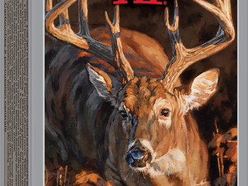 Winchester Ammo X300BLKDS Deer Season XP 300Blackout 150gr Extreme Point 20 Per Box/10 Case