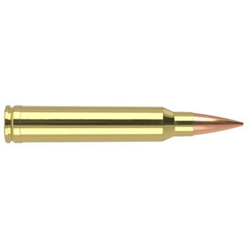 Nosler Match Grade Hyper Velocity Centerfire Ammunition, 300 Win Mag, RDF Hollow Point Boat Tail, 210 Grain - 20 Cartridge Box ( 20 / 1 )