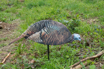 MONTANA DECOY 0043 DINNER BELLE HEN UPC: 851234000430
