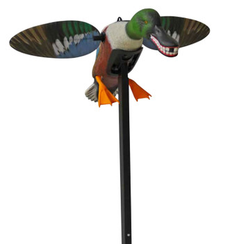 Mojo Outdoors HW2490 Elite Series Spoonzilla Duck Species Multi Color Molded Plastic UPC: 816740004129
