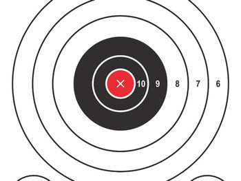 Pro-Shot P1BULLSEYE SplatterShot Hanging Heavy Paper 9" x 13" 6 Pack