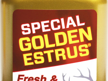 Wildlife Research 4054 Special Golden Estrus Buck Lure Deer Attractant Doe In Estrus Scent 4 oz Bottle