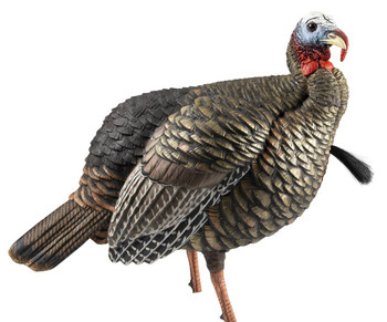 Avian X AVXAVX8105 HDR Jake Decoy Bag Species Multi Color UPC: 082271001030 Avian X AVXAVX8105 HDR Jake Decoy Bag Species Multi Color UPC: 082271001030