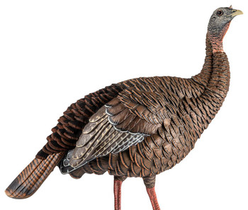 Avian X AVXAVX8106 HDR Hen Turkey Species Multi Color UPC: 082271001696 Avian X AVXAVX8106 HDR Hen Turkey Species Multi Color UPC: 082271001696