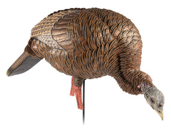 Avian X AVXAVX8107 HDR Feeder Hen Turkey Species Multi-Color