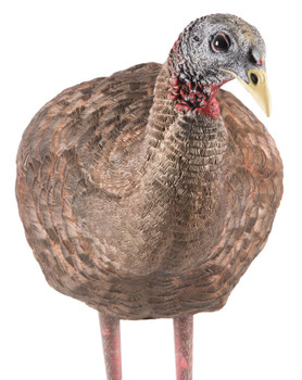 Avian X AVXAVX8008 LCD Breeder Hen Turkey Species Multi Color DuraRubber UPC: 810280080087 Avian X AVXAVX8008 LCD Breeder Hen Turkey Species Multi Color DuraRubber UPC: 810280080087