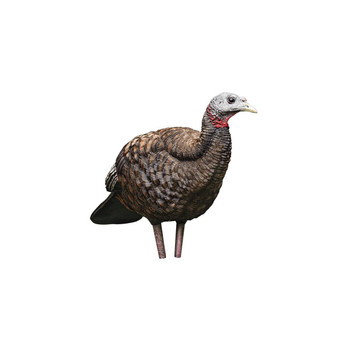 Avian X AVXAVX8008 LCD Breeder Hen Turkey Species Multi Color DuraRubber UPC: 810280080087 Avian X AVXAVX8008 LCD Breeder Hen Turkey Species Multi Color DuraRubber UPC: 810280080087
