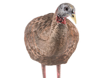 Avian X AVXAVX8008 LCD Breeder Hen Turkey Species Multi Color Dura-Rubber