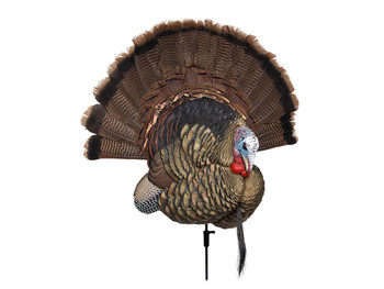 Avian X AVXAVX8021 Trophy Tom Turkey Species Multi-Color *No Fan
