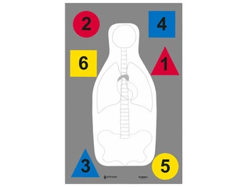 Action Target DTANTQA100 Training Multi-Purpose Silhouette Paper Hanging 23" x 35" Multi-Color 100 Per Box