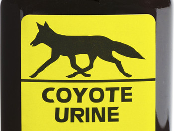 Wildlife Research 523 Coyote Urine Coyote Attractant 4 oz Bottle