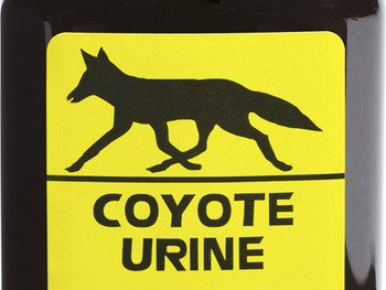 Wildlife Research 523 Coyote Urine Coyote Attractant 4 oz Bottle