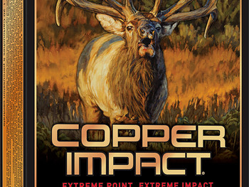 Winchester Ammo X3006CLF2 Copper Impact 30-06Springfield 180gr Copper Extreme Point Lead Free 20 Per Box/10 Case