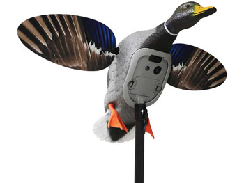 Mojo Outdoors HW2520 Elite Series King Mallard Multi Color Plastic