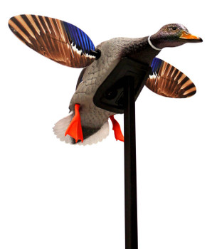 Mojo Outdoors HW24703P Elite Series Mini Mallard Drake Species Multi Color Plastic UPC: 816740004563