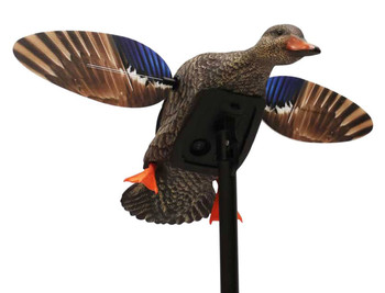 Mojo Outdoors HW24713P Elite Series Mini Hen Mallard Species Multi Color Plastic Features Remote Control UPC: 816740004570