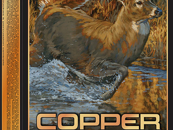 Winchester Ammo X300SCLF Copper Impact 300WSM 150gr Copper Extreme Point Lead Free 20 Per Box/10 Case