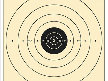 Action Target B8100 Competition NRA Time & Rapid Fire Bullseye Heavy Paper Hanging 25 yds Handgun 21" x 24" Black/White 100 Per Box