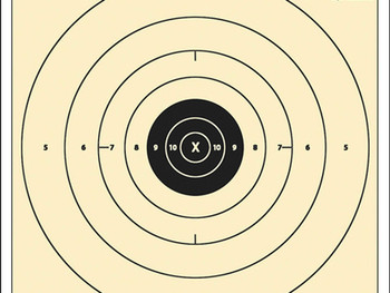 Action Target B8100 Competition NRA Time & Rapid Fire Bullseye Heavy Paper Hanging 25 yds Handgun 21" x 24" Black/White 100 Per Box