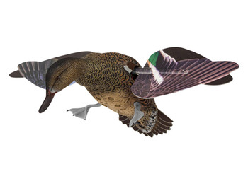 Avian X AVXPFLHT PowerFlight Hen Green-Winged Teal spinning wing decoy