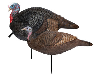 Primos 69075 Lil' Gobblestopper Jake & Hen Combo Turkey Species Multi Color