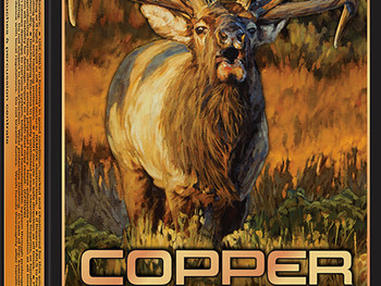 Winchester Ammo X300SCLF2 Copper Impact 300WSM 180gr Copper Extreme Point Lead Free 20 Per Box/10 Case