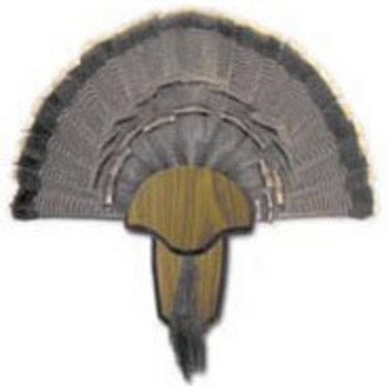 Hunters Specialties Turkey Tail and Beard Mou UPC: 021291008490