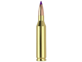 Nosler 40041 243Win 70gr Ballistic Tip Varmint 20 Per Box/10 Case