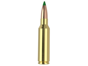 Nosler 61035 300WSM 165gr Ballistic Tip 20 Per Box/10 Case