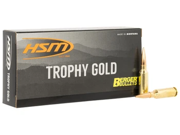 HSM 6ARC95VLD Trophy Gold Extended Range 6mm ARC 95 gr 20 Per Box/ 25 Case