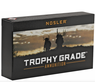 NOSLER TGA 243 100G PTSP 20BX