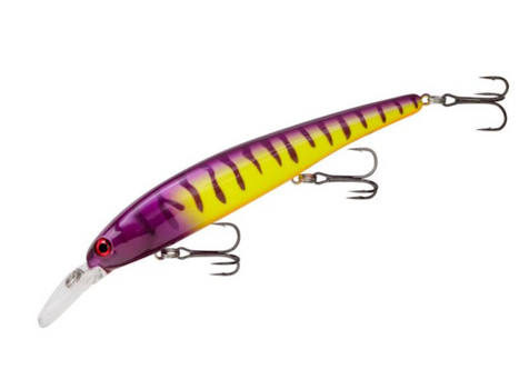 BDT SHALLOW WALLEYE 5/8 ELEC ZEBRA