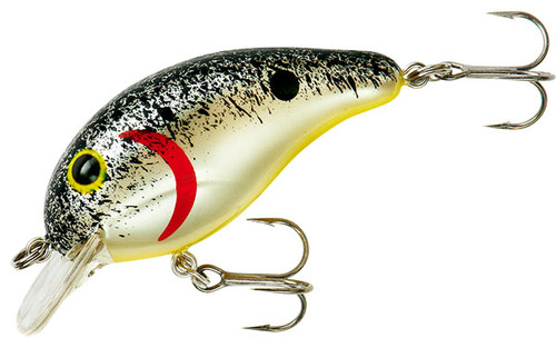 BANDIT MR 1/4 2" SPLATTER BACK